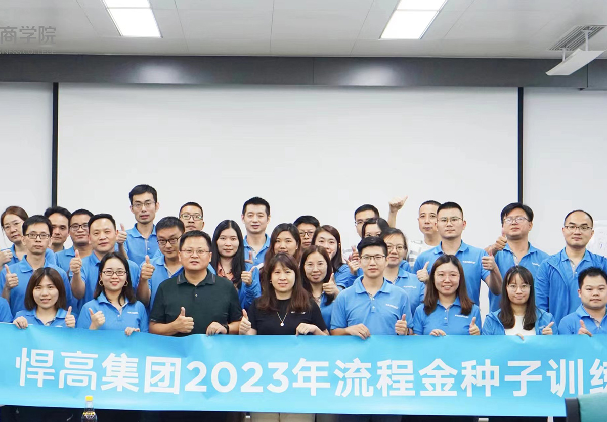 推进流程金种子项目，强化效率为王、结果导向的执行观