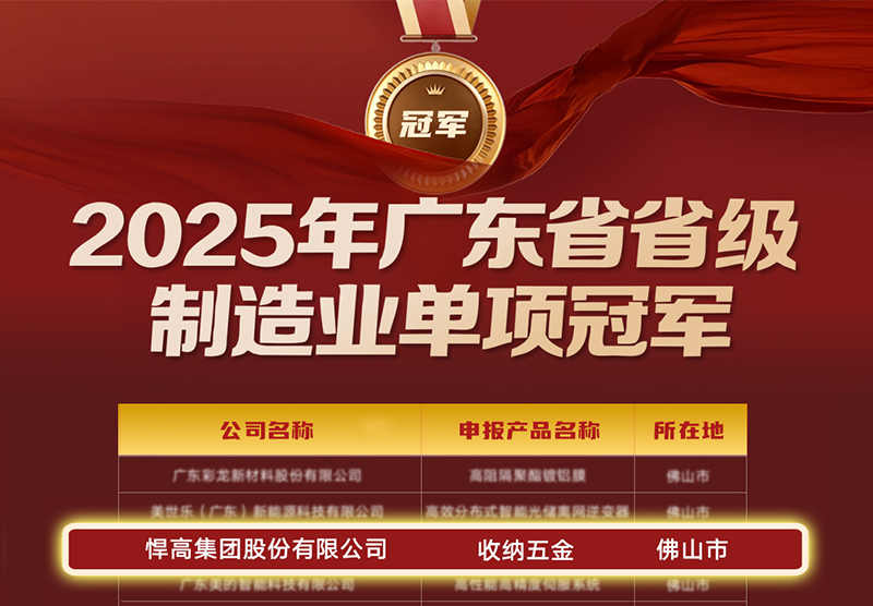 喜讯 | mg冰球突破十大平台荣膺广东省制造业单项冠军